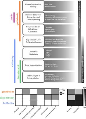 CellDestiny: A RShiny application for the visualization and analysis of single-cell lineage tracing data